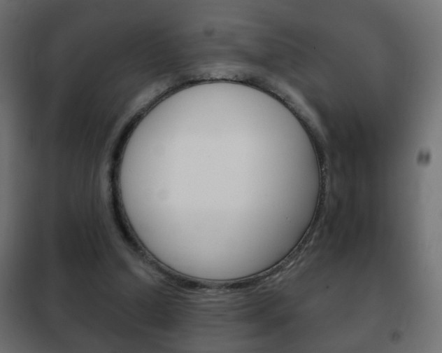 X0000102460250200808080952