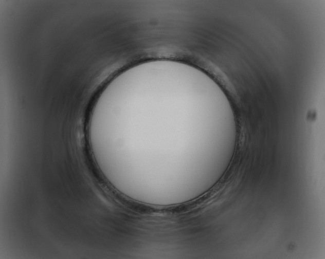 X0000102460251200808080952