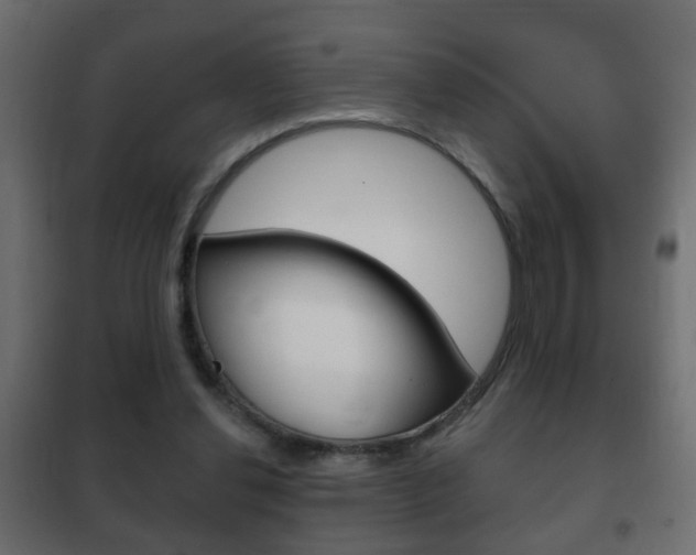 X0000102460252200808080952