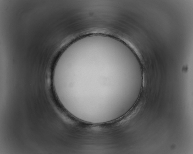 X0000102460253200808080952