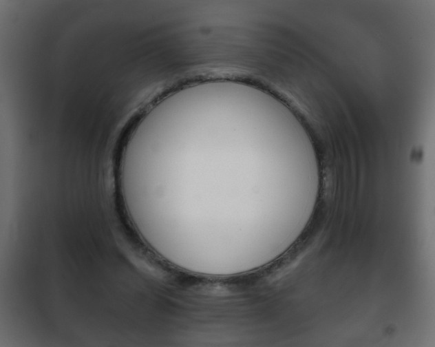 X0000102460254200808080952