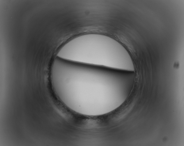 X0000102460255200808080952