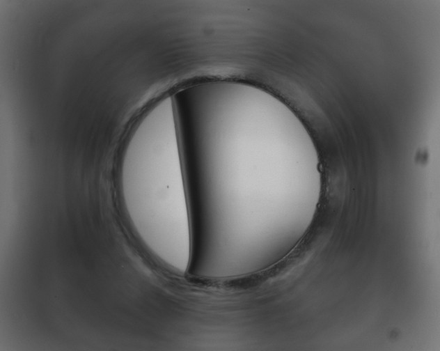 X0000102460256200808080952