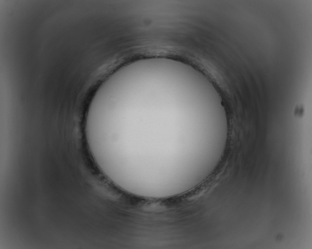 X0000102460258200808080952