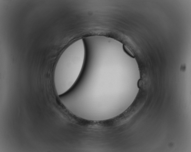 X0000102460259200808080952
