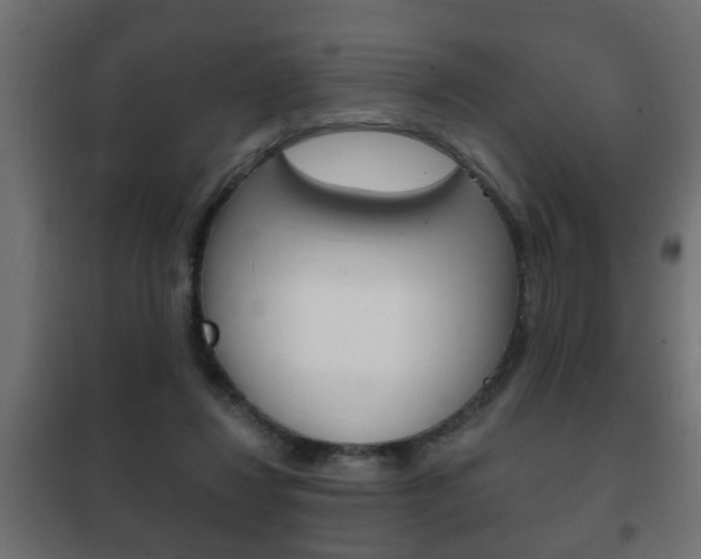X0000102460260200808080952
