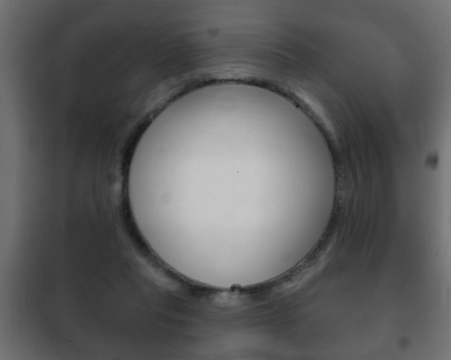 X0000102460261200808080952