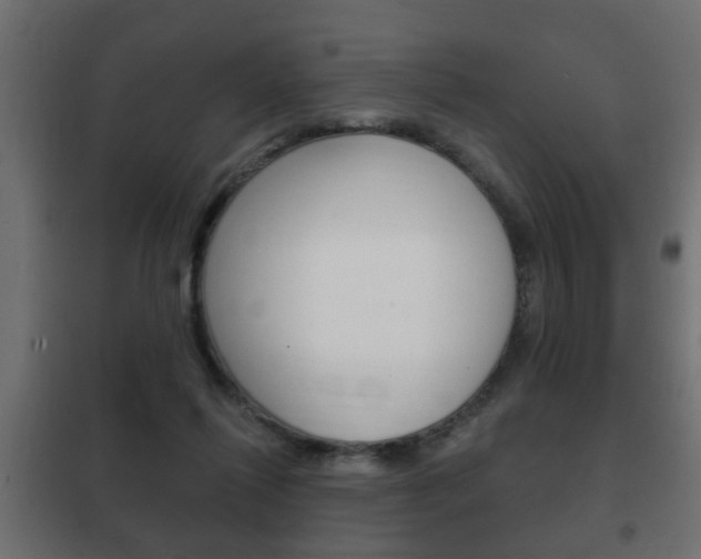 X0000102460262200808080952