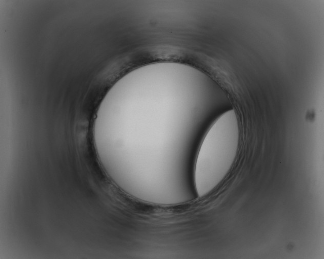 X0000102460263200808080952