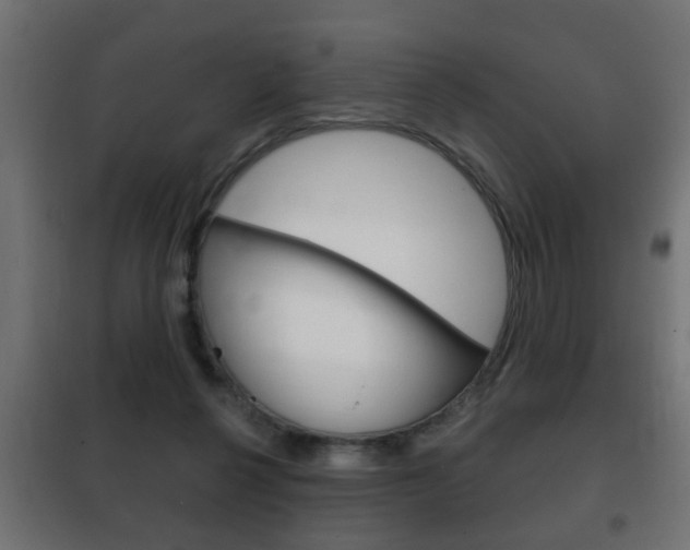 X0000102460264200808080952