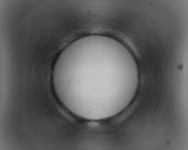 X0000102460265200808080952