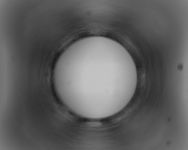 X0000102460266200808080952