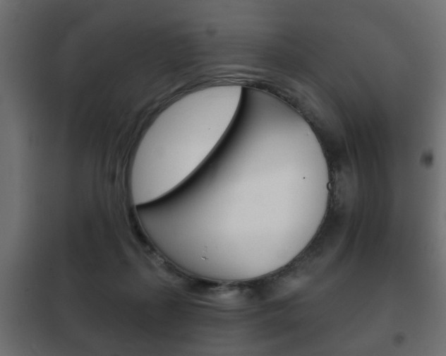 X0000102460267200808080952