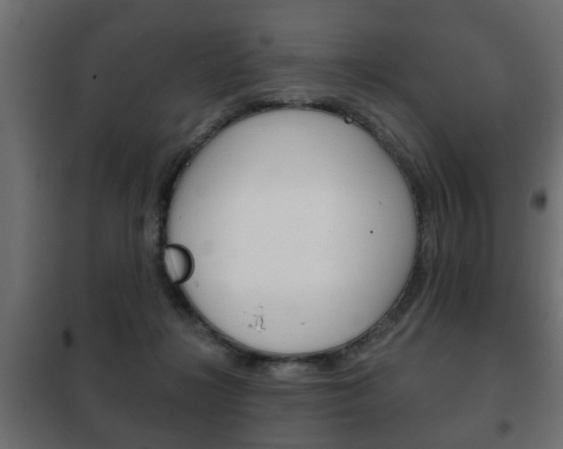 X0000102460268200808080952