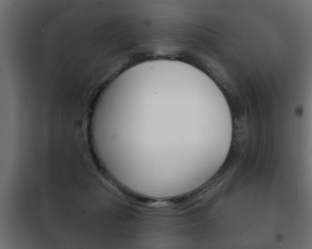 X0000102460269200808080952