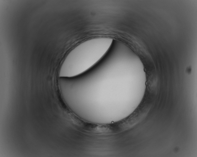 X0000102460270200808080952