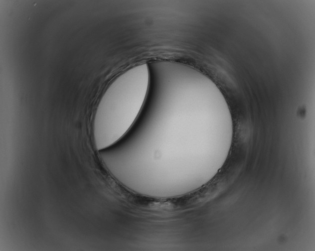 X0000102460271200808080952