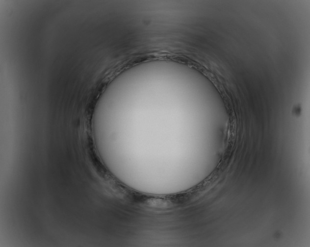 X0000102460272200808080952