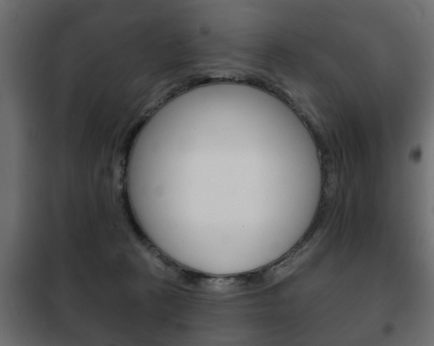 X0000102460273200808080952