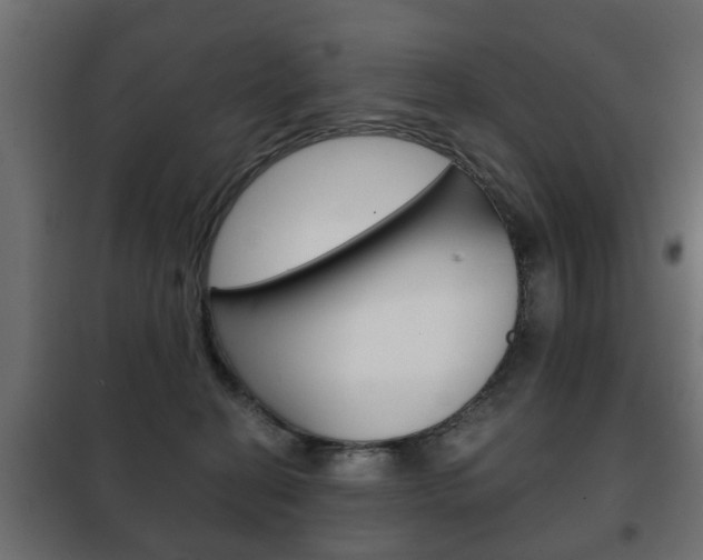 X0000102460274200808080952