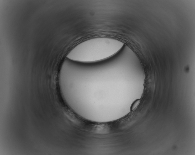 X0000102460275200808080952