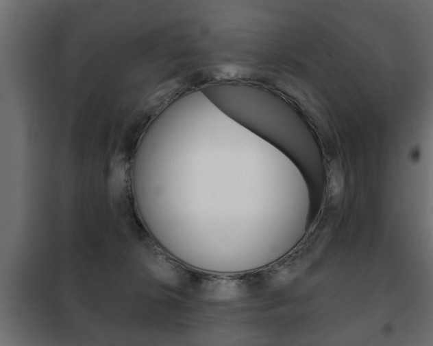X0000102460276200808080952
