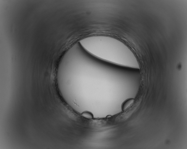X0000102460277200808080952