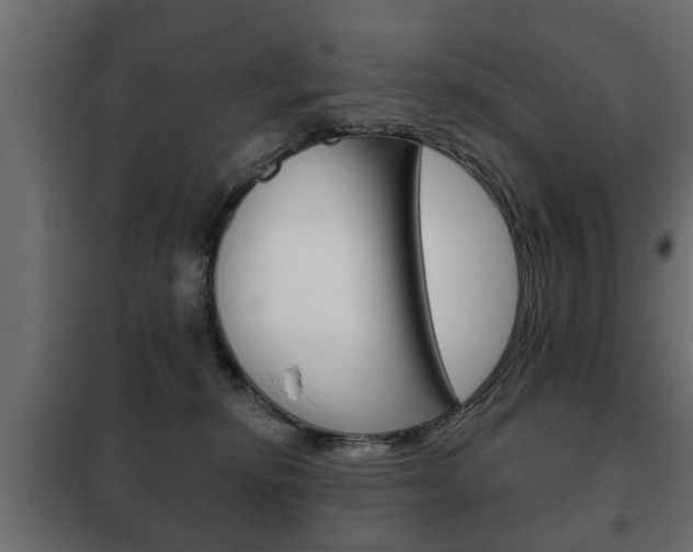 X0000102460278200808080952