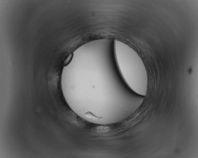 X0000102460279200808080952