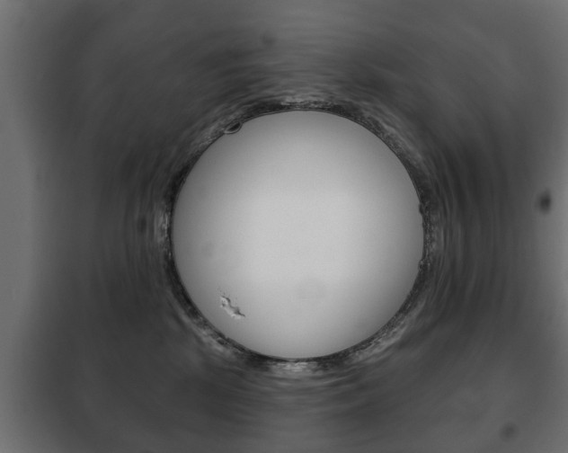 X0000102460281200808080952