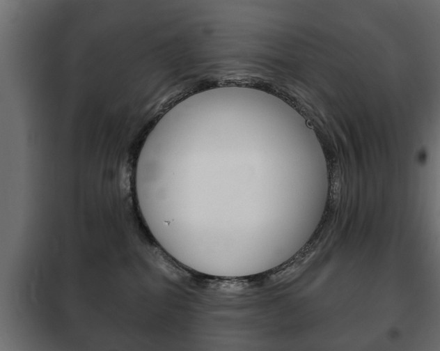 X0000102460282200808080952