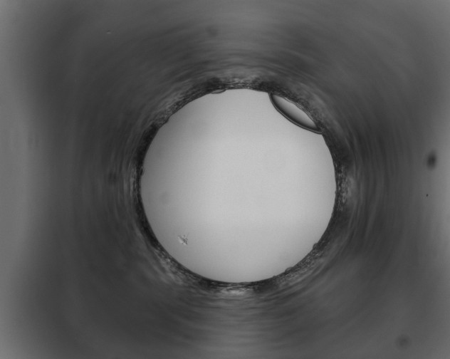 X0000102460283200808080952