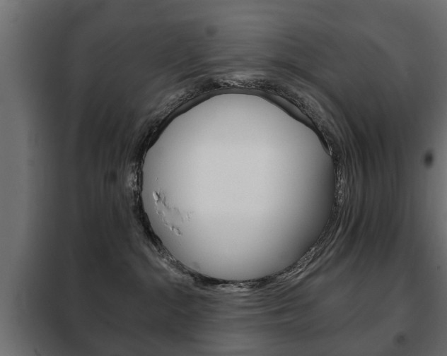 X0000102460284200808080952