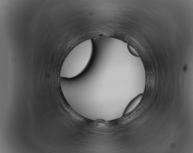 X0000102460285200808080952