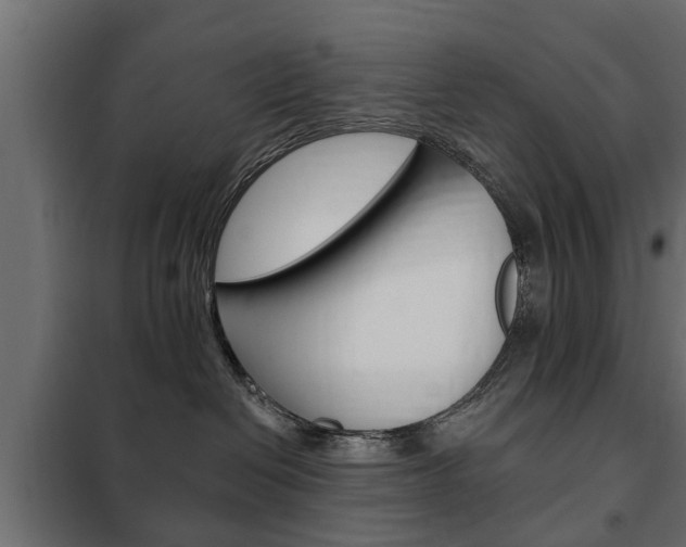 X0000102460286200808080952