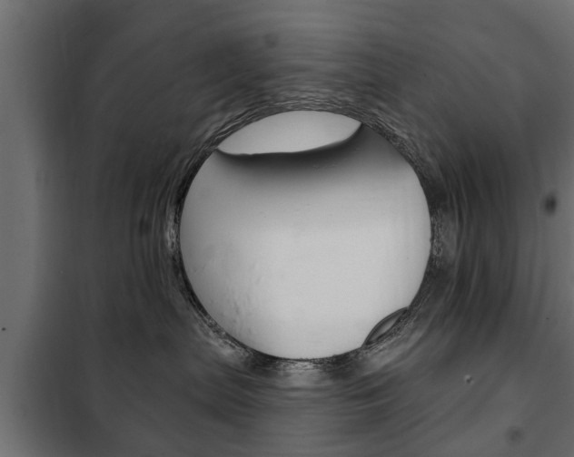 X0000102460287200808080952
