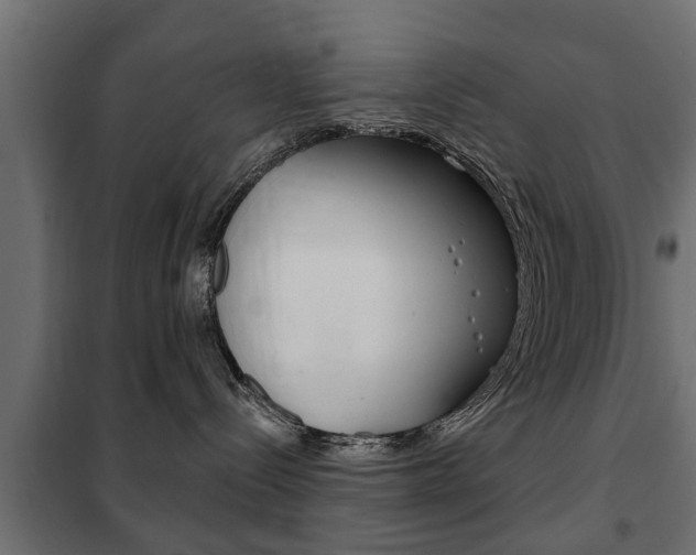 X0000102460288200808080952