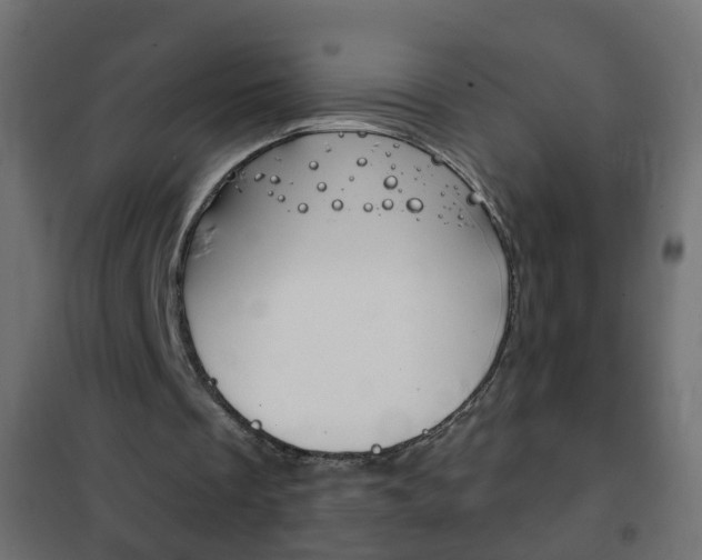 X0000102460289200808080952