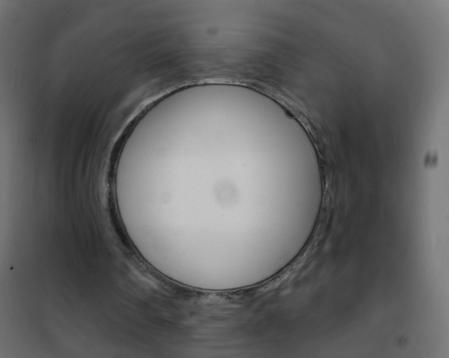X0000102460290200808080952