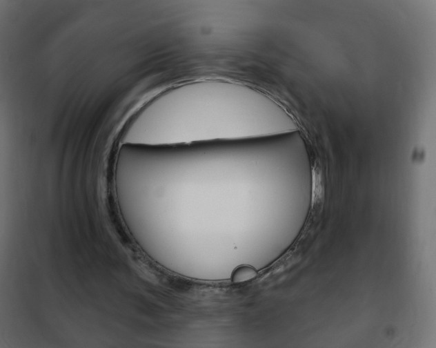 X0000102460291200808080952