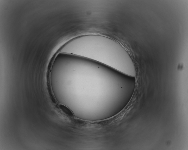 X0000102460292200808080952