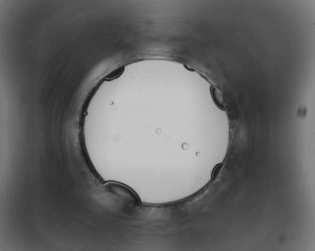 X0000102460293200808080952