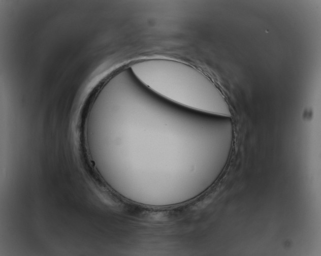 X0000102460295200808080951