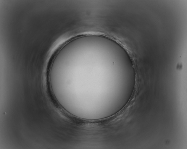 X0000102460296200808080951