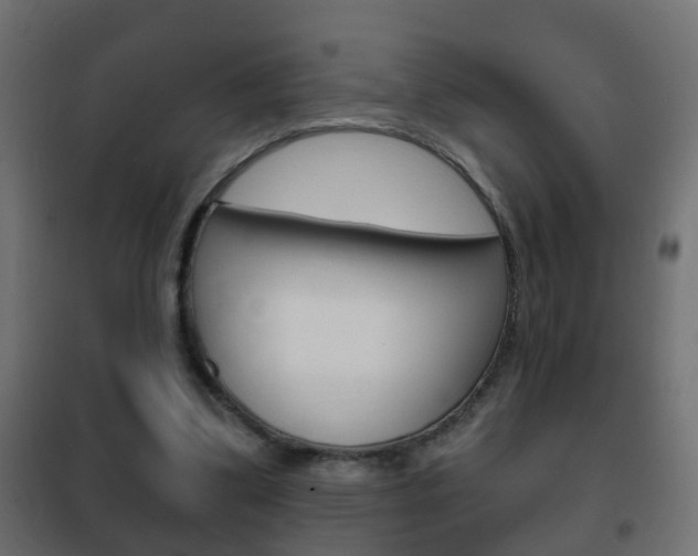 X0000102460299200808080951