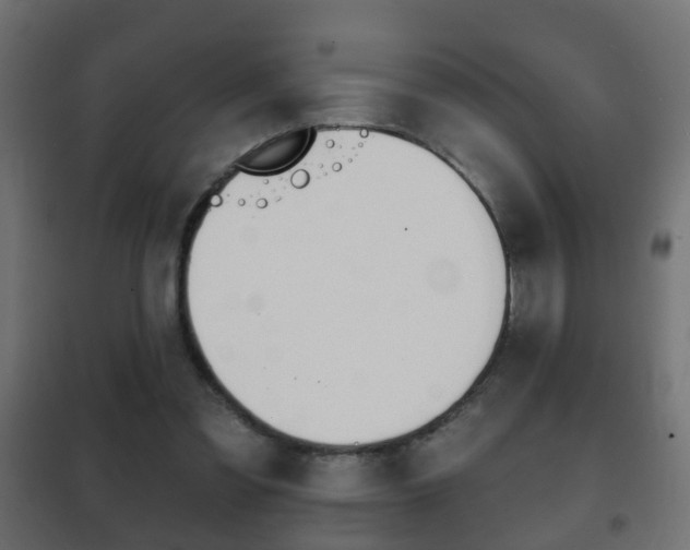 X0000102460301200808080951