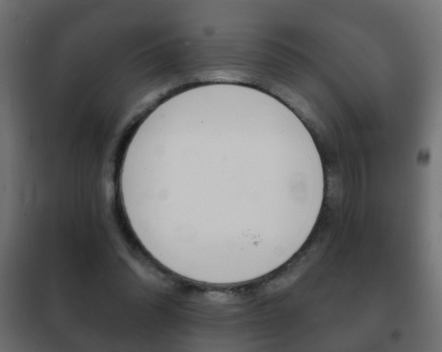 X0000102460302200808080951