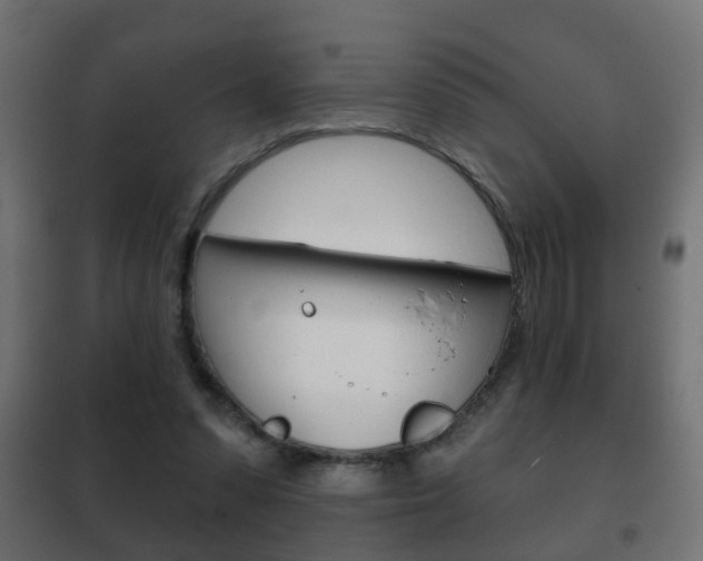 X0000102460303200808080951