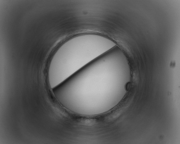 X0000102460304200808080951