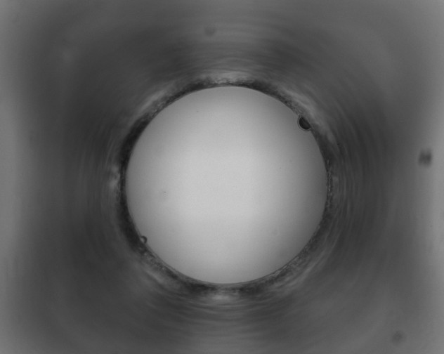 X0000102460308200808080951